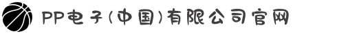 PP电子(中国)有限公司官网
